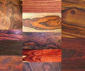 Indian Rosewood