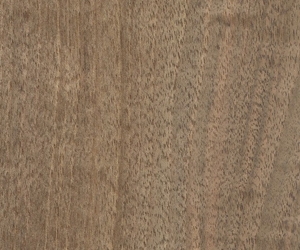 English Walnut