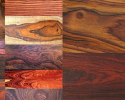 Indian Rose Wood