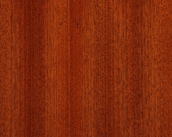 Sapele