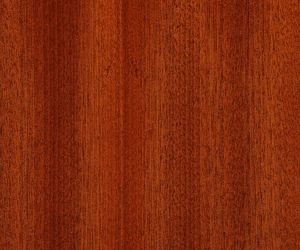 Sapele